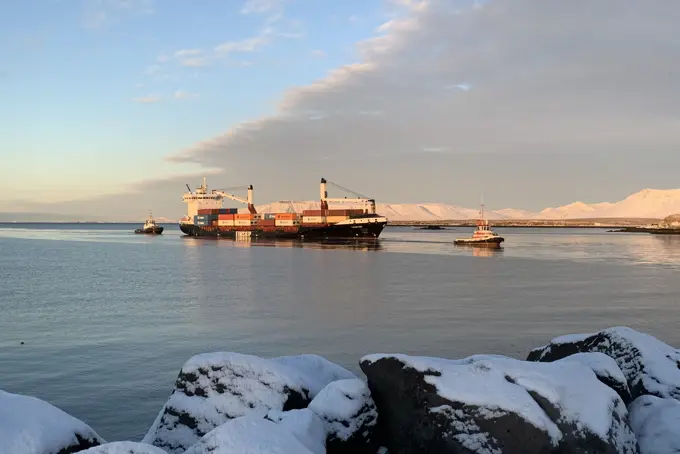 photo-30122020-14-34-00.jpg (1)