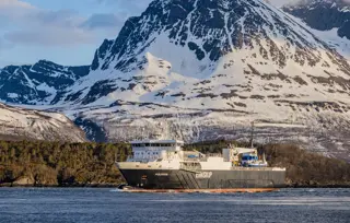 fisk2355.jpg (1)