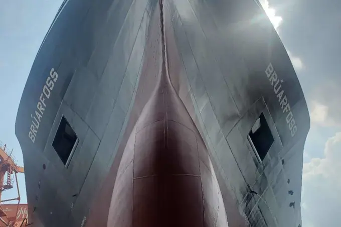 121113910_1035678430206740_832682402913705742_n.jpg (1)