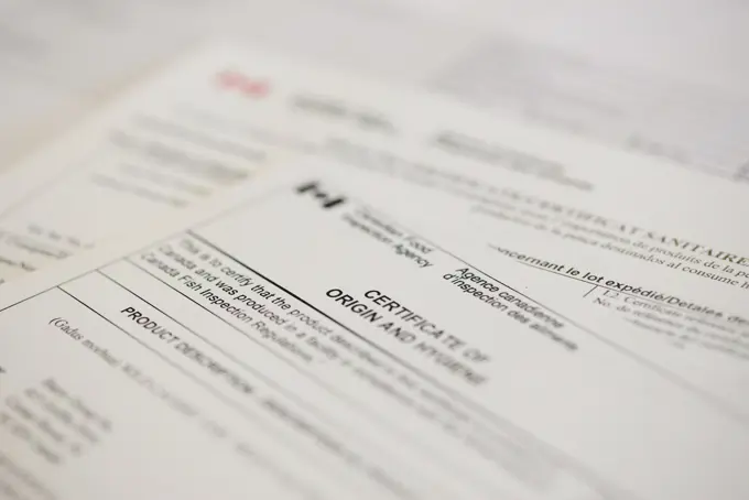 Eimskip Denmark Custom Services